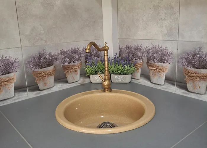 Apartamento Ines Gniezno